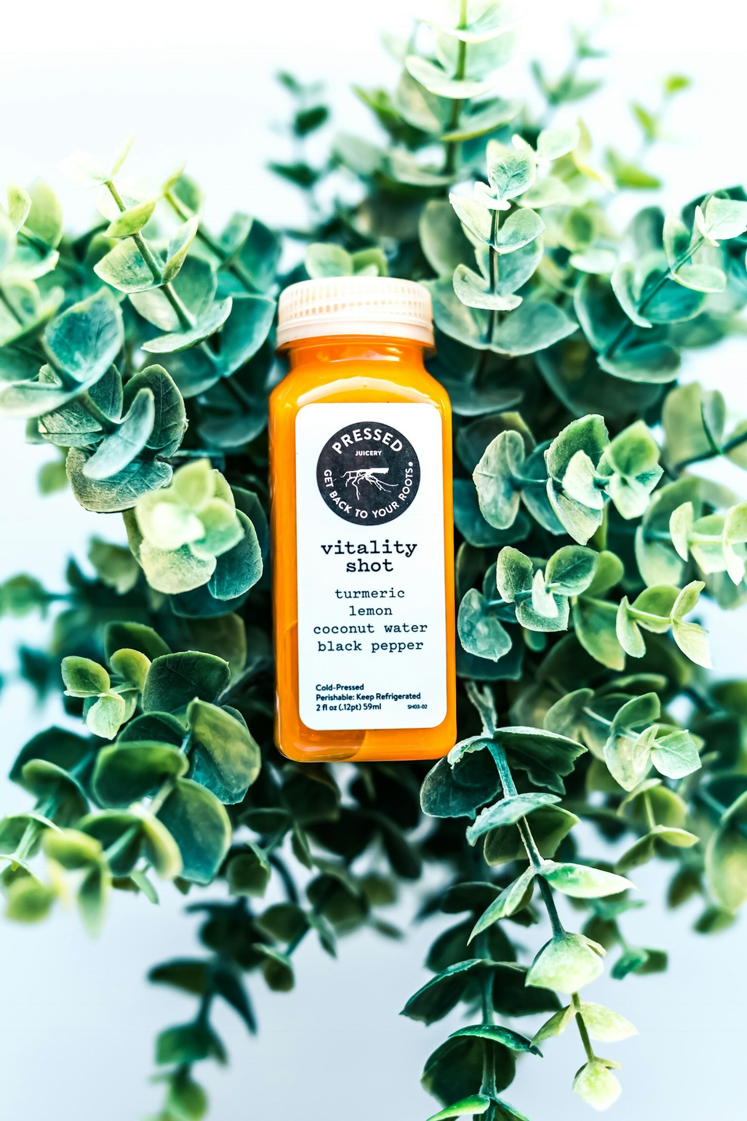 Transform Your Daily Routine with Richie Care